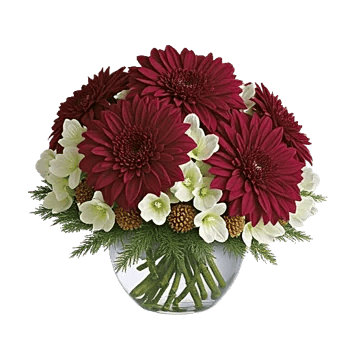 Petal Radiance Bliss