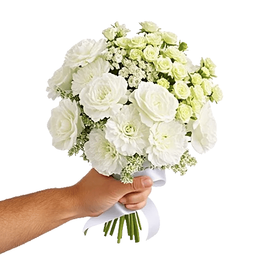 Delicate Petal Cascade