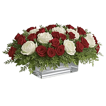 Delicate Petal Cascade