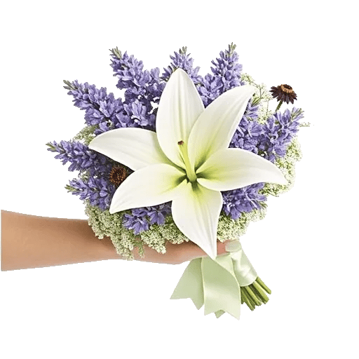 Blossom Petal Serenity