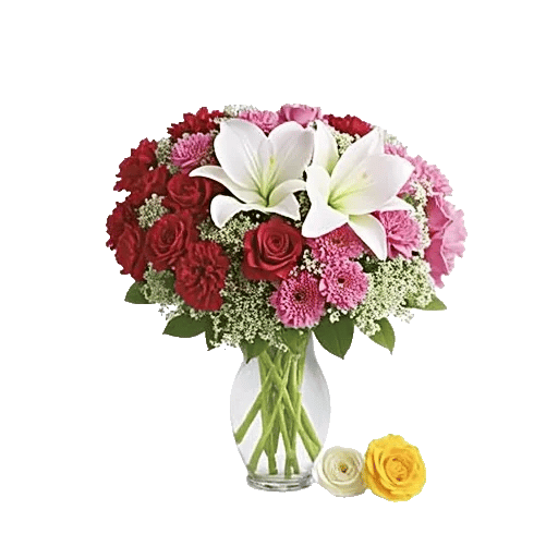 Ivory Blossom Radiance