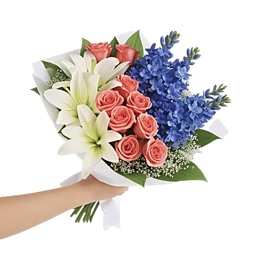 Blossom Petal Serenity