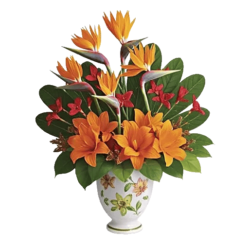 Tropical Sunflower Burst