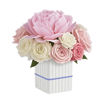 Petal Radiance Bliss