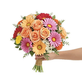 Petal Harmony Bliss