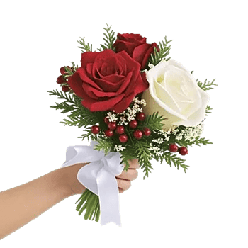 Crimson Rose Elegance