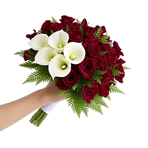 Elegant Calla Lilies
