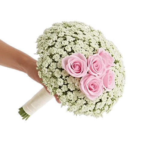 Blossom Radiant Whisper