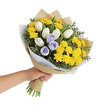 Velvet Tulip Display