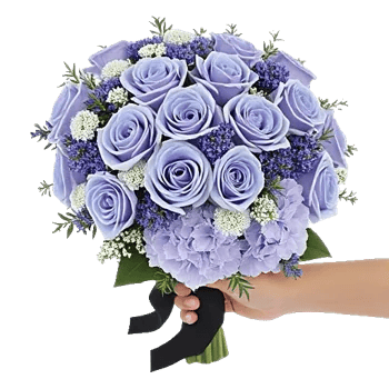 Elegant Blue Roses
