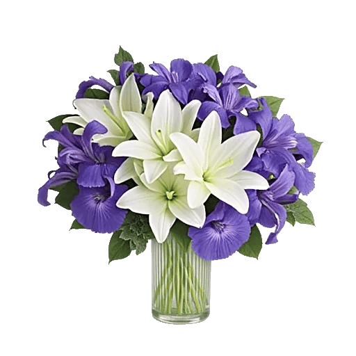 Ivory Blossom Radiance