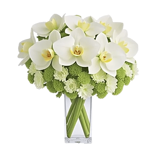 Orchid Bloom Cascade