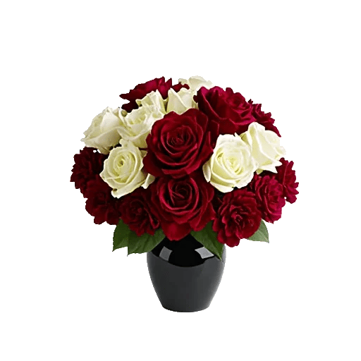 Crimson Rose Elegance
