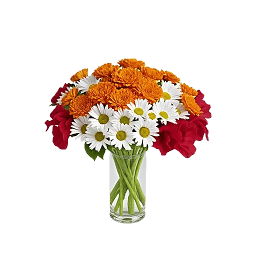 Petal Radiance Bliss