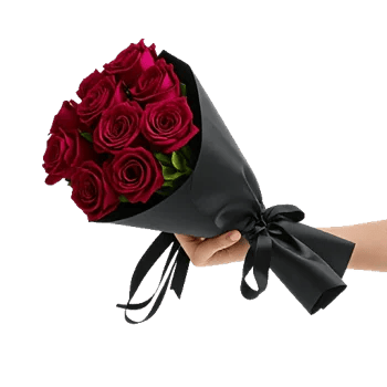 Crimson Rose Elegance