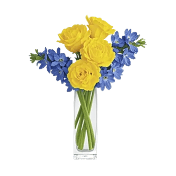 Petal Radiance Bliss