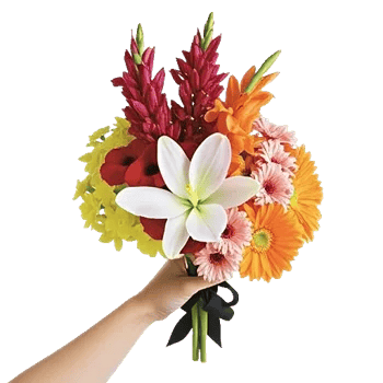 Blossom Harmony Display