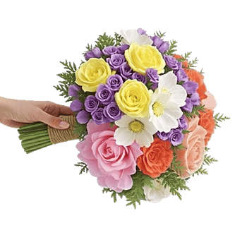 Delicate Petal Cascade
