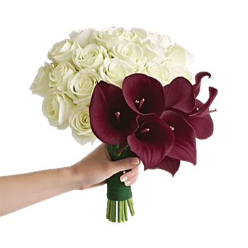 Blushing Rose Symphony