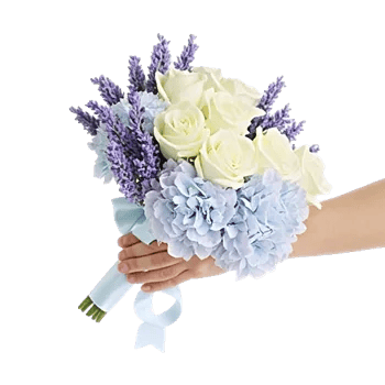 Serene Petal Harmony