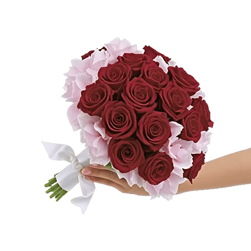 Blushing Rose Symphony