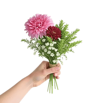 Pastel Pink Roses