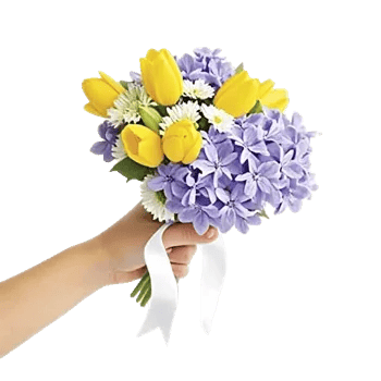 Blossom Harmony Display