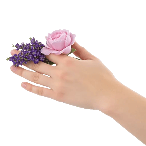 Ivory Blossom Radiance