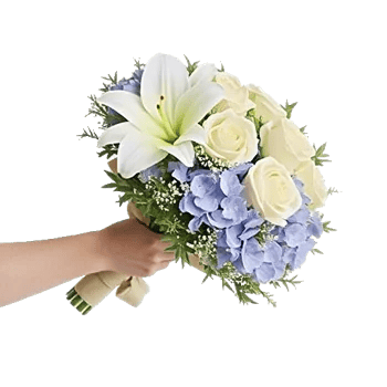 Ivory Blossom Radiance