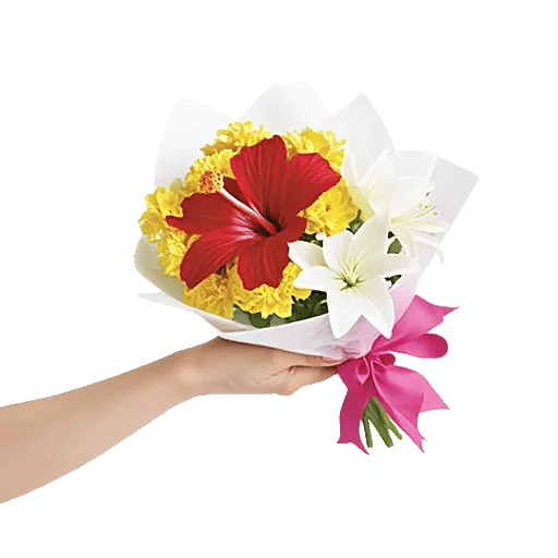 Blushing Rose Symphony