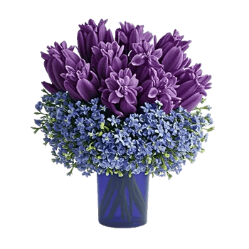 Ivory Blossom Radiance