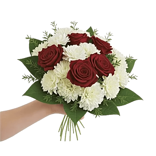 Crimson Rose Elegance