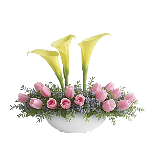 Elegant Calla Lilies
