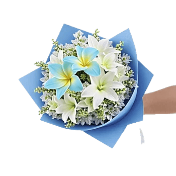 Blossom Harmony Display