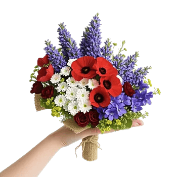 Lavender Bloom Grace