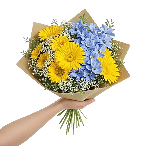 Blossom Petal Serenity