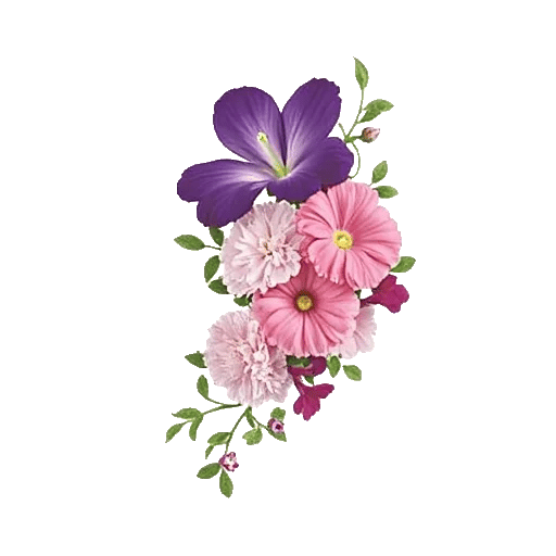 Petal Radiance Bliss