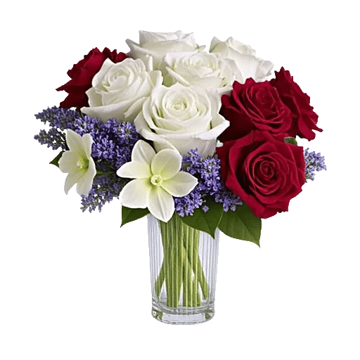 Radiant Rose Symphony