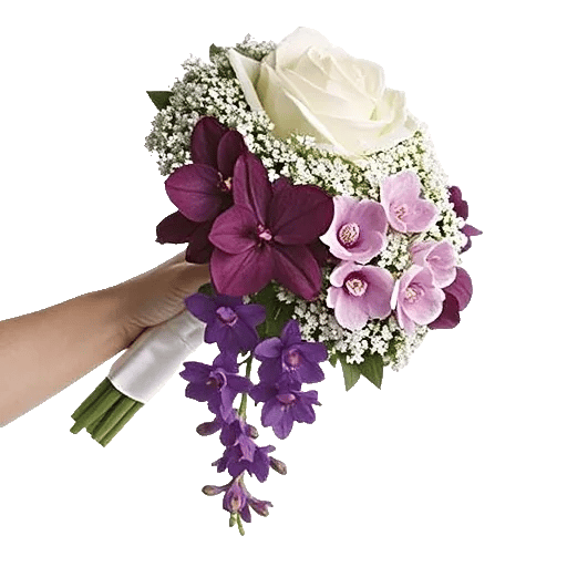 Delicate Petal Cascade