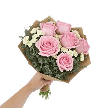 Blushing Rose Symphony