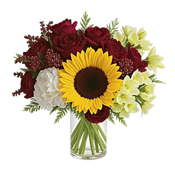 Petal Radiance Bliss