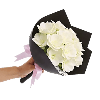 Ivory Garden Grace