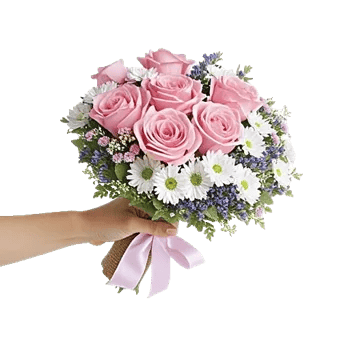 Blushing Rose Symphony