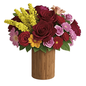 Petal Radiance Bliss