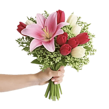 Blossom Harmony Display