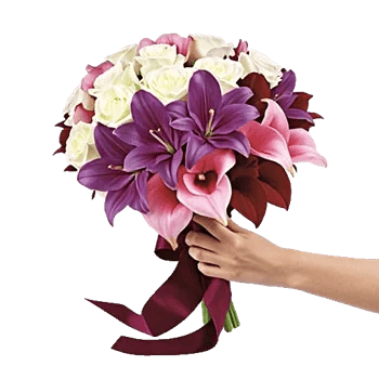 Blushing Rose Symphony