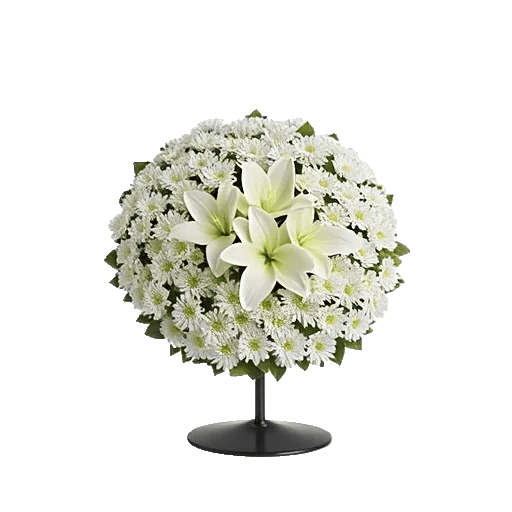 Ivory Garden Grace