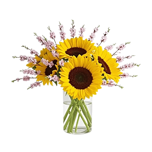 Radiant Bloom Cascade