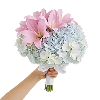 Blossom Petal Serenity