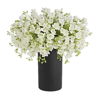 Ivory Blossom Radiance